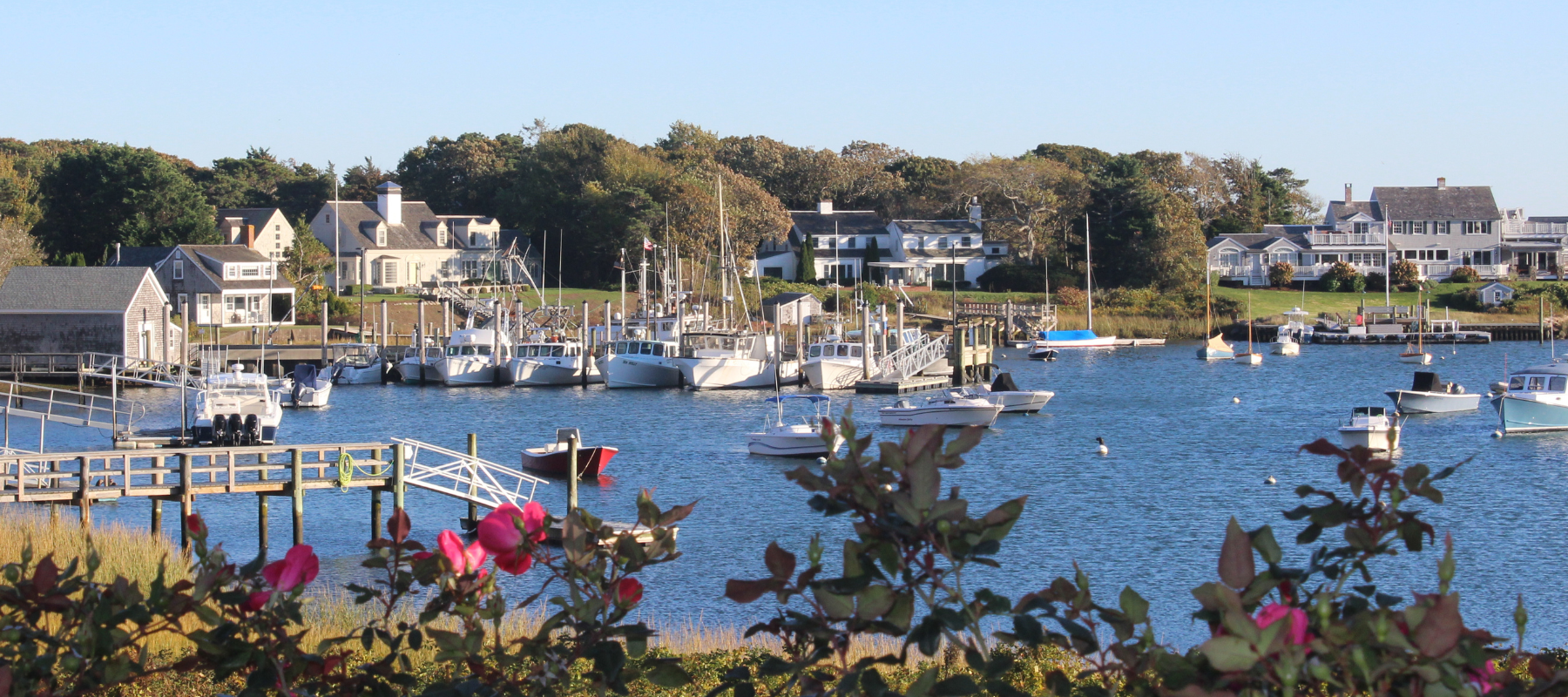HARWICH-MAIN PHOTO 1800X800