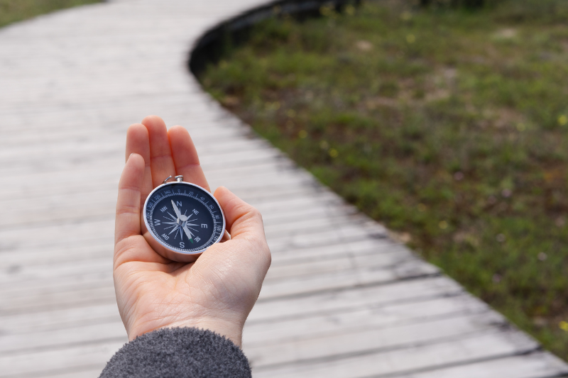 RECENT INITIATIVES-HOME PAGE The Disrupters