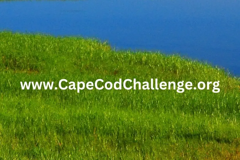 COMMUNITY-CHALLENGE-HOME-PAGE-800X533-1-1 CC Foundation Gives Back