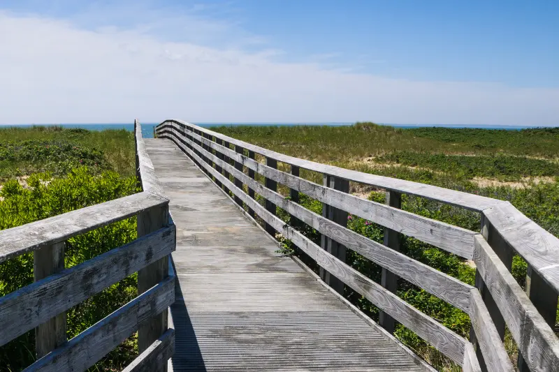 OUR-WORK-AND-IMPACT-HOME-PAGE The Disrupters